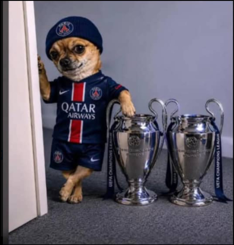mema psg arsenal (8)