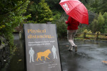 Auckland Zoo Reopens As Coronavirus Restrictions Continue To Ease In New Zealand