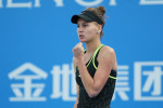 2017 WTA Shenzhen Open - Previews