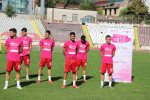 Dinamo in roz 4 - Copy