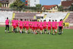 Dinamo in roz 7