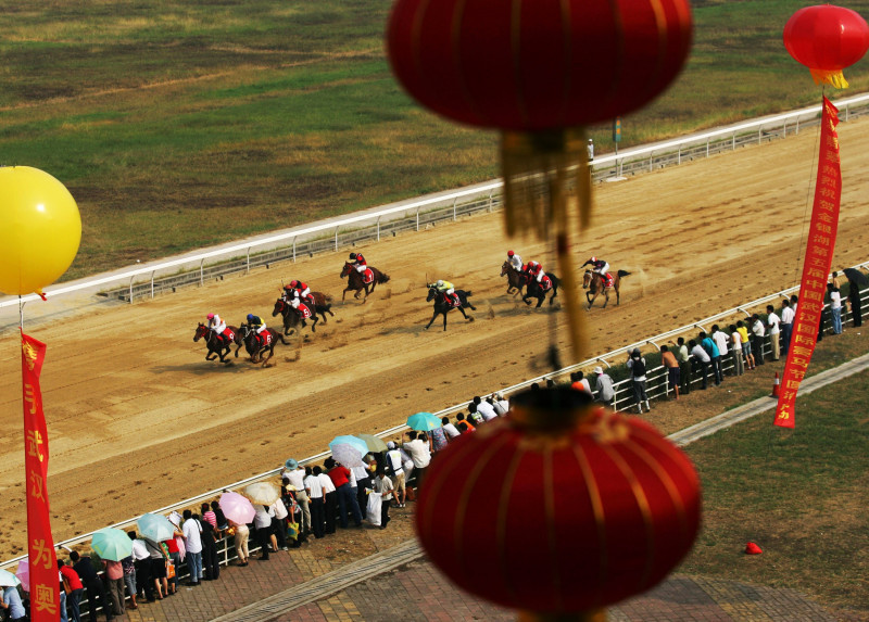 5th China Wuhan International Equestrian Festival