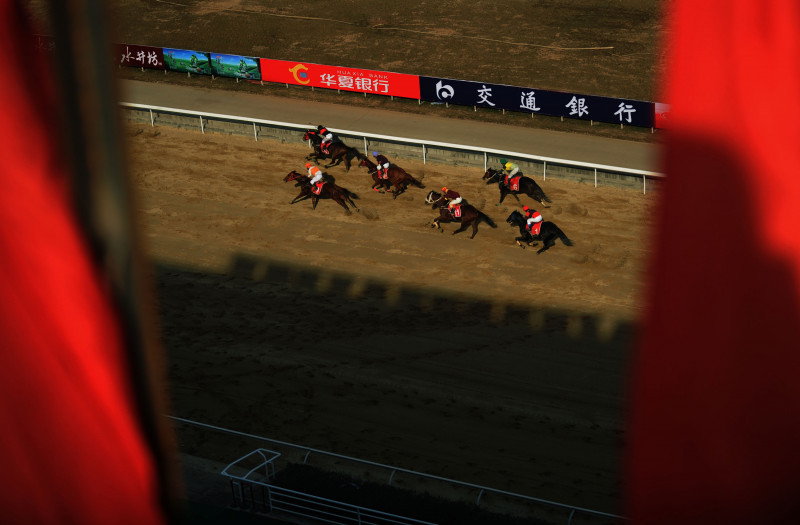 The Sixth Wuhan International Equestrian Festival