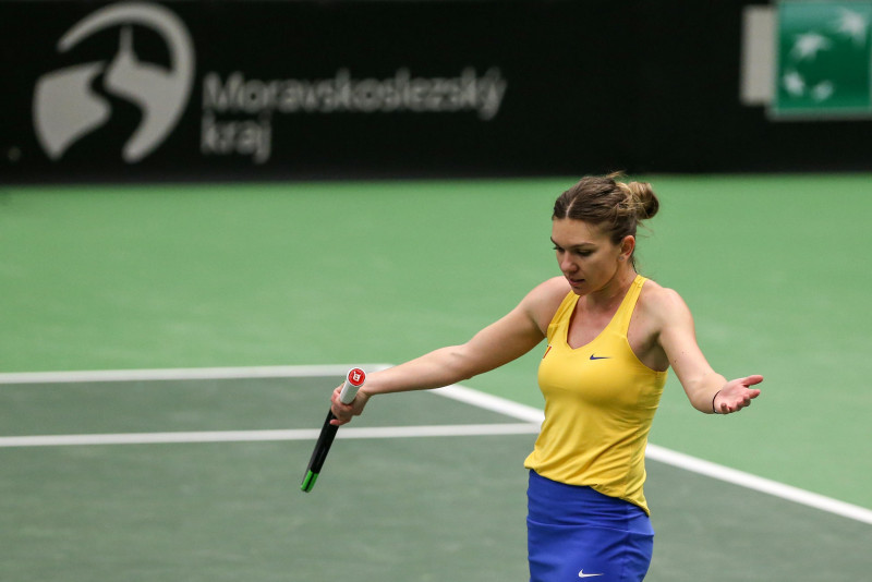 Simona Halep, la FED Cup, în 2019, în meciul cu Karolina Pliskova / Foto: Profimedia