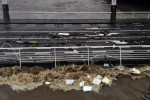 Inundații în Liege / Foto: Profimedia