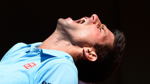 Încă o lovitură grea primită de Novak Djokovic, după ce a fost expulzat din Australia. Anunțul făcut în Franța