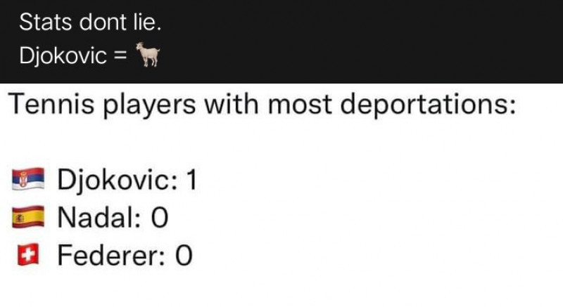 Novak Djokovic, subiect de glume pe internet / Foto: Twitter
