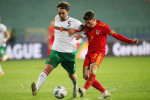 Bulgaria v Wales - UEFA Nations League - 14 Oct 2020