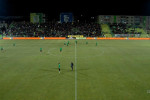 Tribuna stadionului din Mioveni, la meciul cu FCSB / Foto: Captură Digi Sport