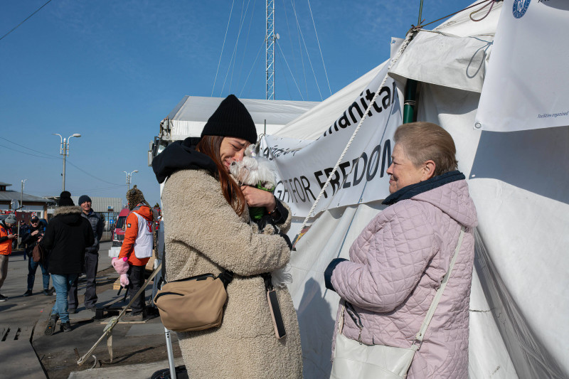 Refugiați în România / Foto: Profimedia