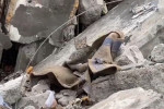 Cat Provides `Symbol Of Hope` Amid Ruins Of Mariupol