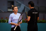 halep-moura 3