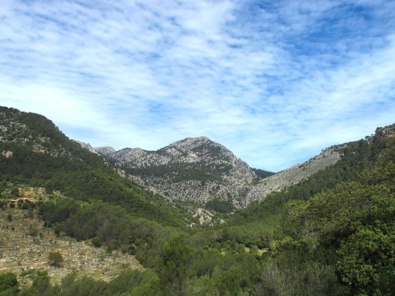 Various Mallorca, Spain - 2013