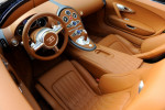 2009 Bugatti Veyron Sang Bleu Artist: Unknown.