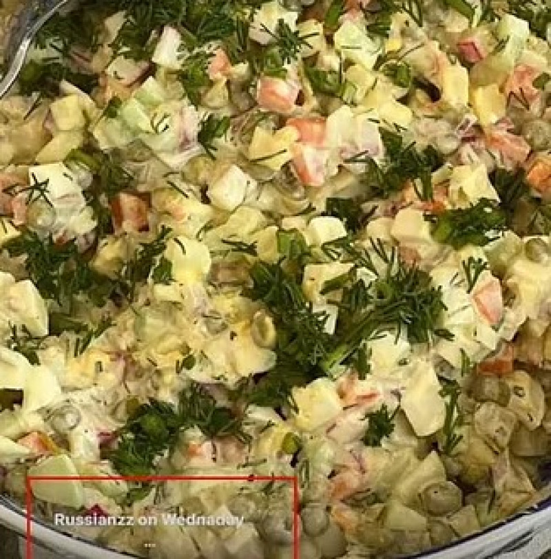 irina-shayk-salata