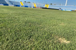 Gazonul stadionului din Severin, înainte de Universitatea Craiova - Hapoel Beer Sheva / Foto: Digi Sport