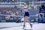 2022 US Open Tennis Championships