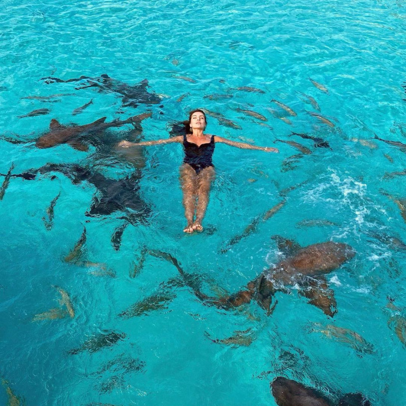 274134114_118131714118586_2659885877988313691_n