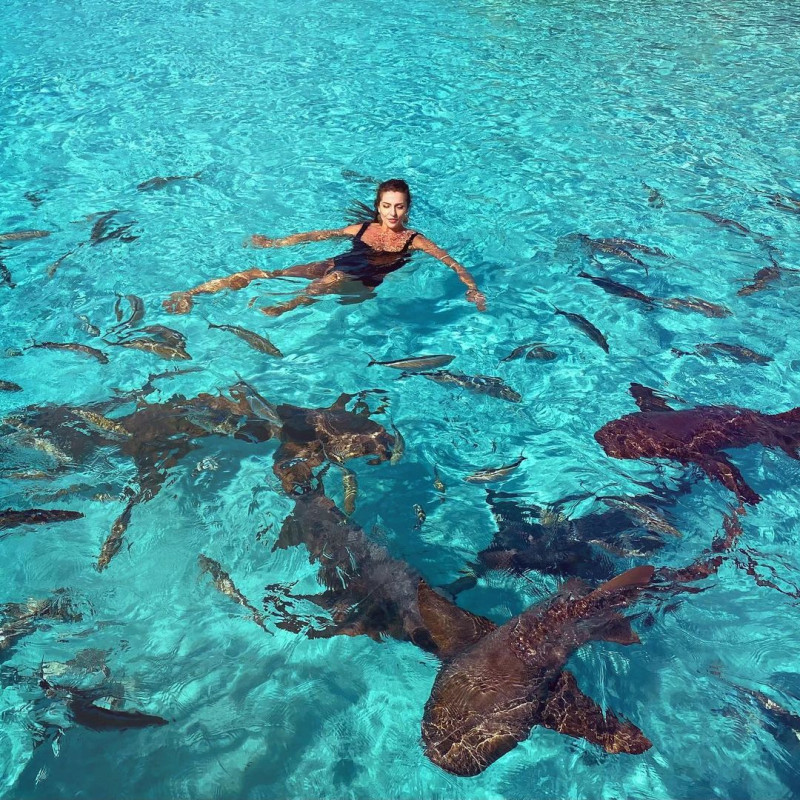 274250437_1056534818231355_734451727388258288_n