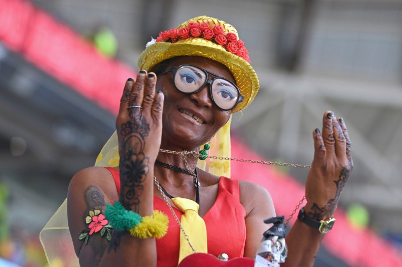 FIFA World Cup 2022 / Switzerland - Cameroon 1-0.