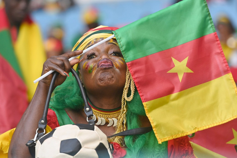 FIFA World Cup 2022 / Switzerland - Cameroon .