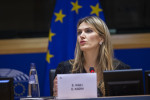 Vice-President of the European Parliament Eva Kaili detained over corruption probe