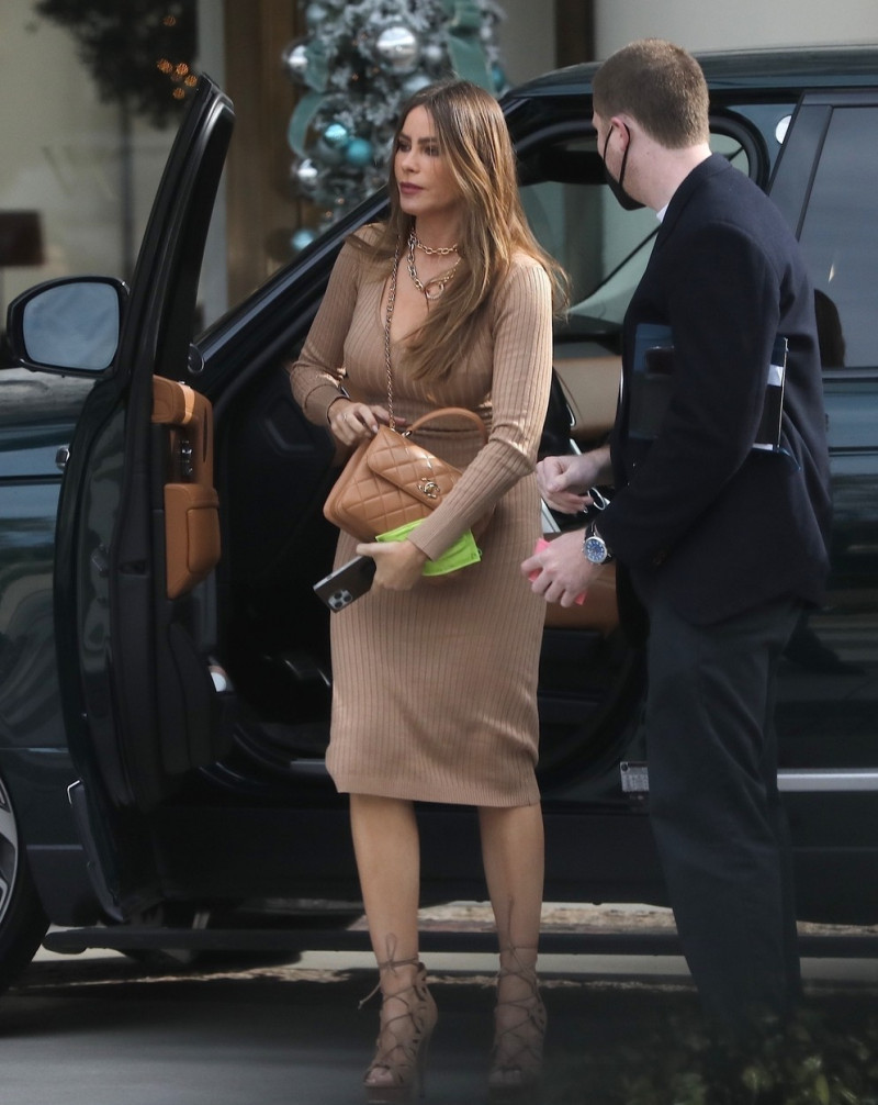 *EXCLUSIVE* Sofia Vergara looks fabulous arriving for a lunch meeting