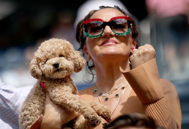 Bianca Andreescu's dog Coco at the 2021 US Open