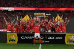 Benfica wins Portuguese league title