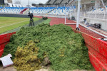 Stadionul Fadil Vokrri