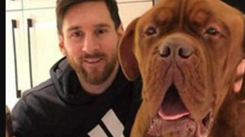 Anunț sfâșietor despre celebrul câine al lui Leo Messi! Ce urmează să se întâmple cu uriașul Hulk