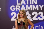 24th Annual Latin GRAMMY Awards Red Carpet