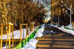 Empty alley in the Bucharest North Railway Park in a cold winter morning, Bucharest, Romania, 2020