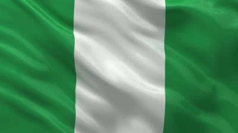 steag nigeria