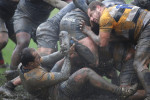 rugby principala