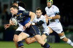 leinster montpellier rugby