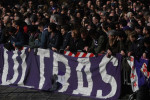 Fiorentina fani2