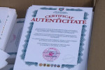 certificat gazon ghencea