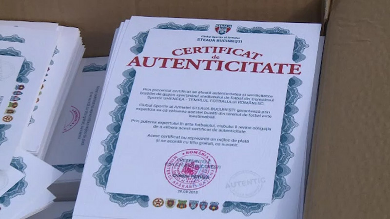 certificat gazon ghencea