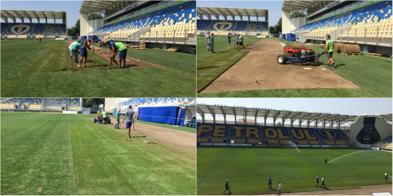 colaj gazon ilie oana