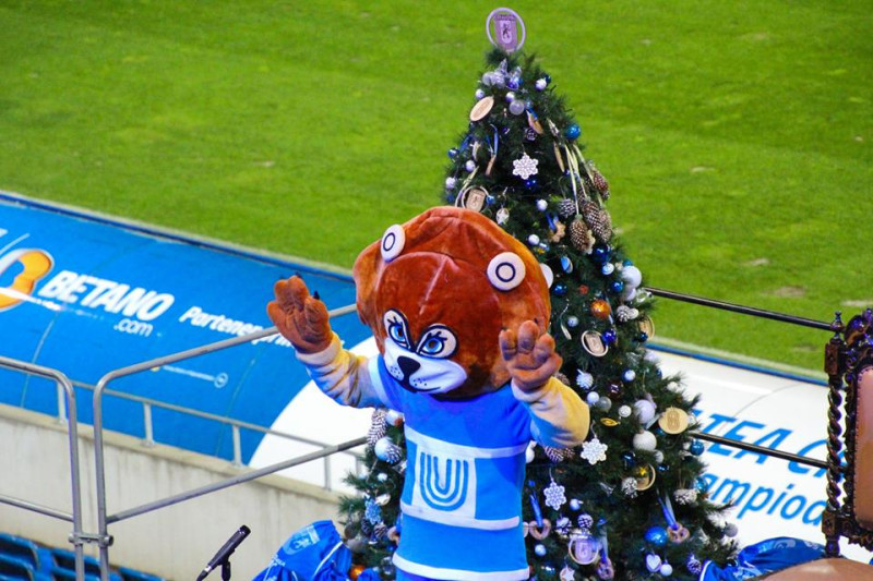sarbatoare craiova