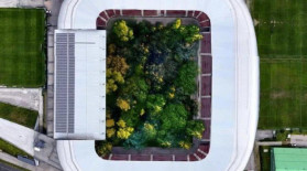 Pădure plantată pe un stadion care a costat 66,5 milioane €