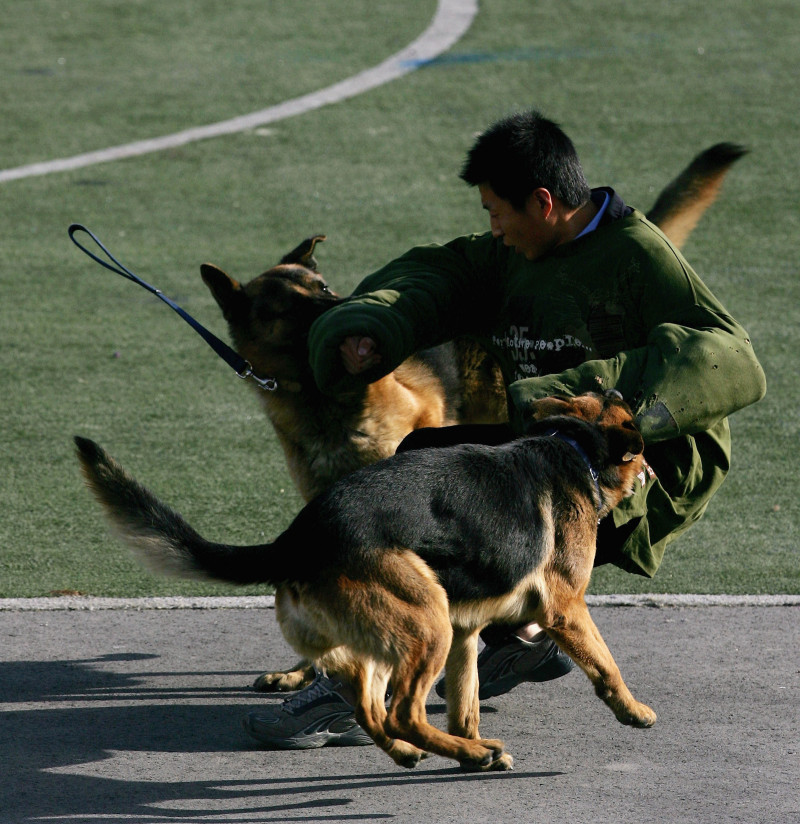 Chinese SWAT Police Train For 2008 Olympic Security