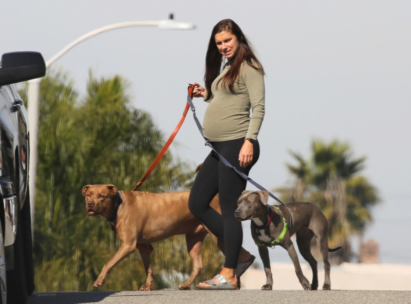 *EXCLUSIVE* Pregnant Alex Morgan takes her dogs for a walk in LA