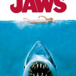 JAWS 800X1200
