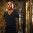 dominic purcell prison break