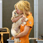 jessica-simpson-deprimata-din-cauza-cainelui