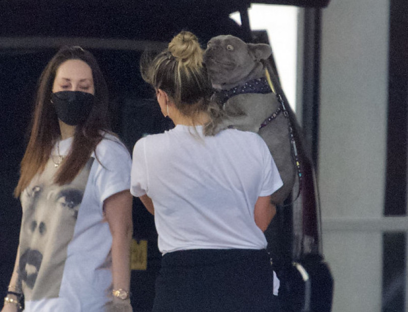 EXCLUSIVE-  Lady Gaga reunites with her beloved pooches as she arrives back in the US after beginning her world tour. Los Angeles, USA - 31 Jul 2022