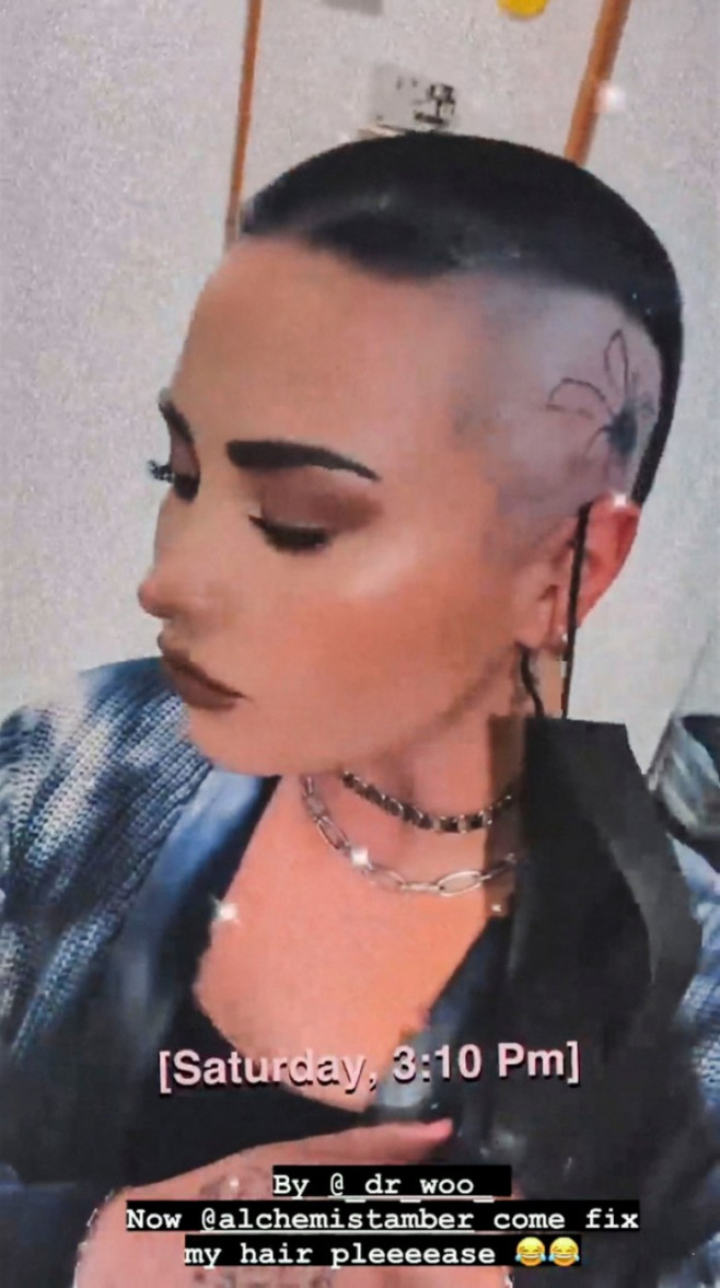 Demi Lovato, schimbare de look drastică/ Profimedia