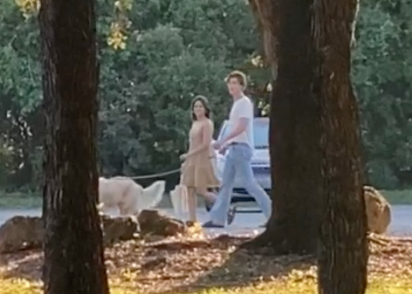 *PREMIUM-EXCLUSIVE* Shawn Mendes and Camila Cabello Spotted Together Walking Dog